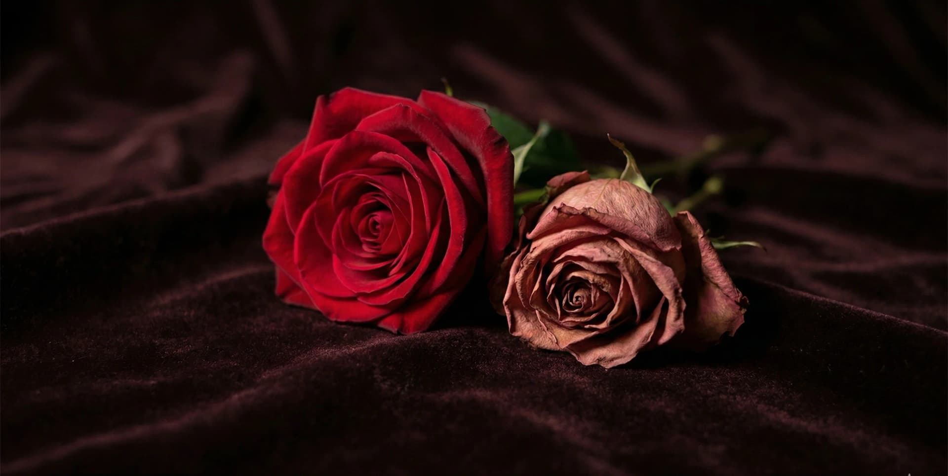 What Makes a Romance Stay With You Long After the Last Page